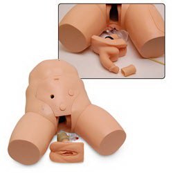 Nasco Healthcare Willi and Cathi Catheterization and Enema Trainer