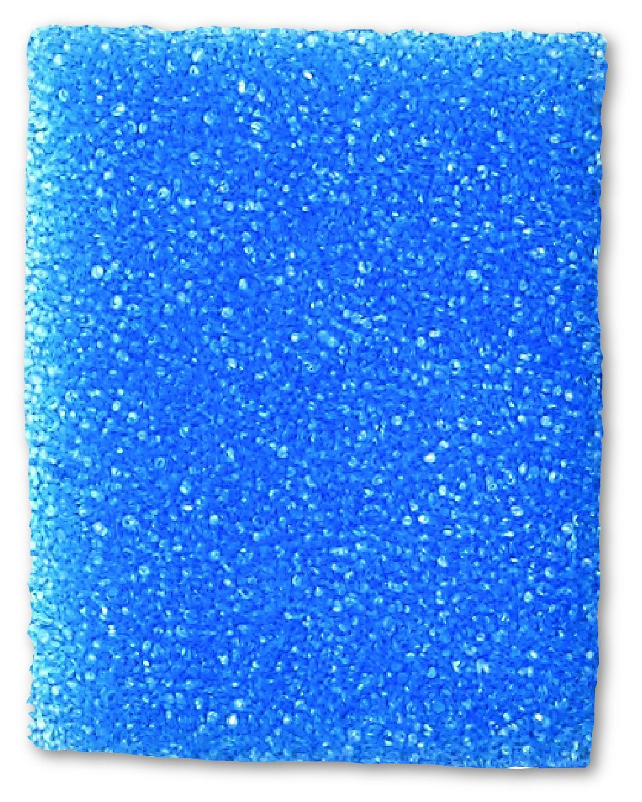 StatLab Medical 1 x 1-1/4 Inch Biopsy Sponge