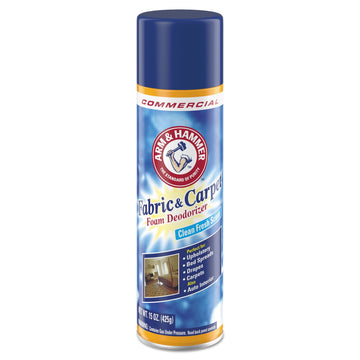 Arm & Hammer Foaming Deodorizer 15 oz Can Fresh Scent