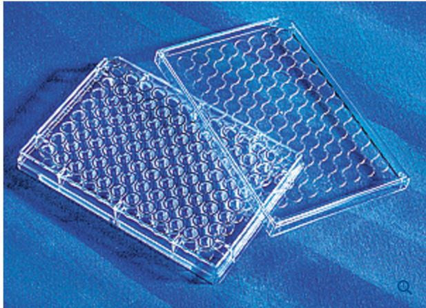 Costar™ Clear Sterile 96-Well Microplate