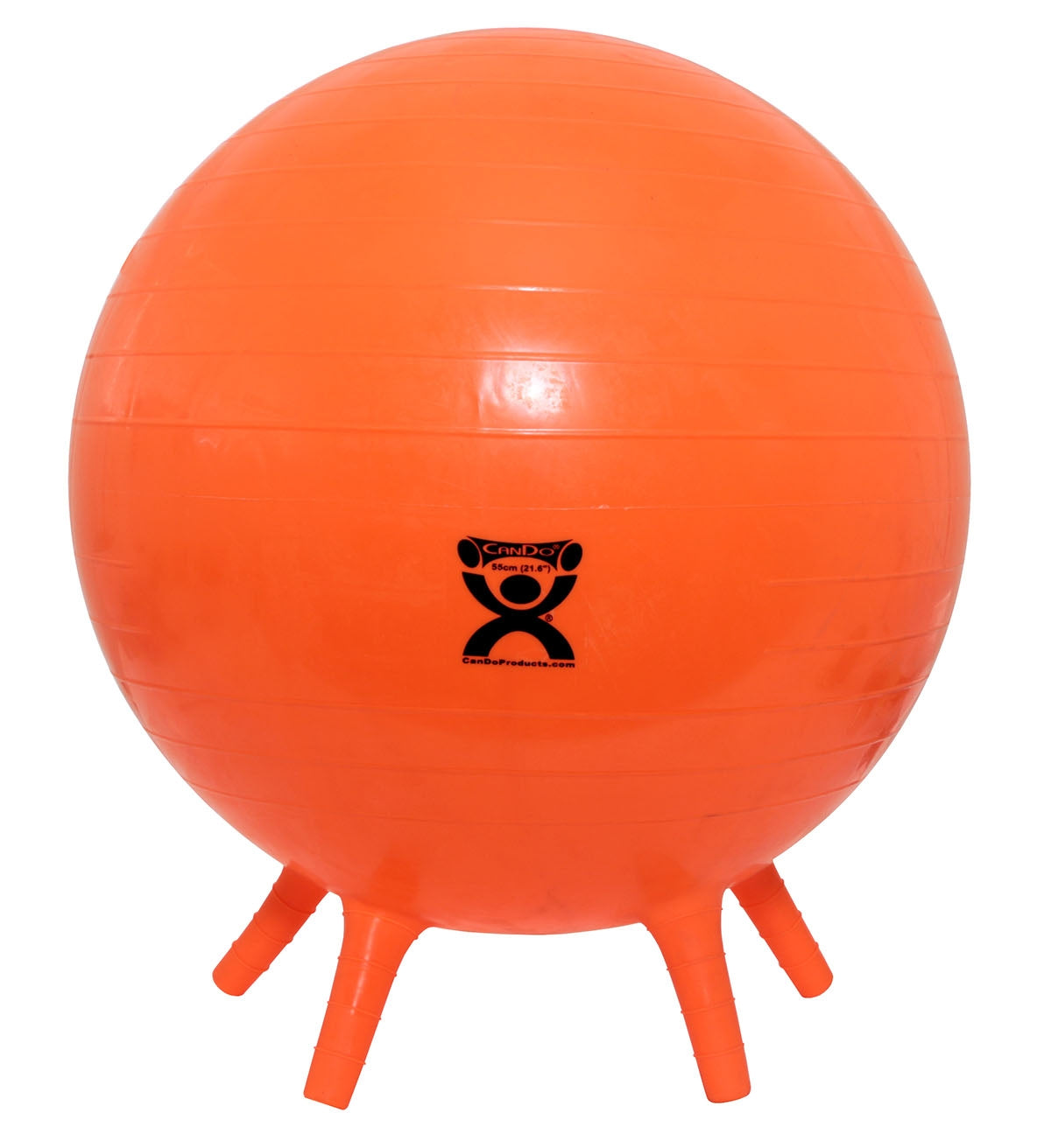 Fabrication Enterprises CanDo Exercise Ball