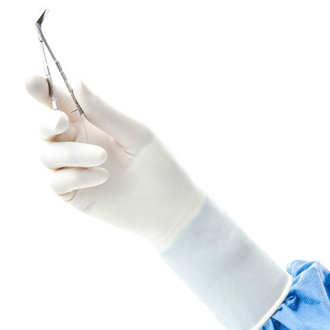 Ansell Healthcare Polyisoprene Polychloroprene Chemo Surgical Glove