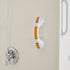 McKesson Suction-Cup Grab Bar