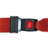 McKesson Stretcher Strap