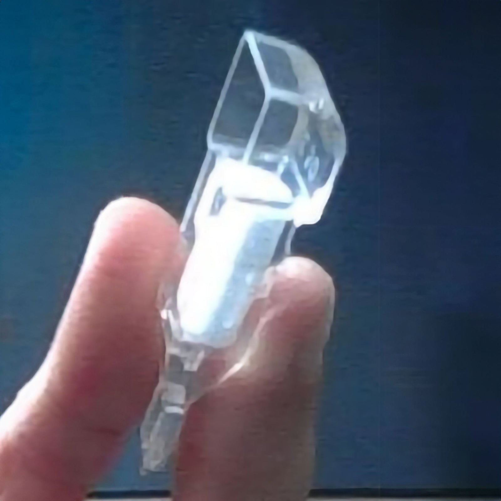 Siemens DCA HbA1c Capillary Holder