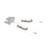 OMNIS HEALTH LLC Embrace Talk Test Strips