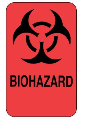 Fisherbrand Biohazard Caution Label 2 x 3 Inch Fluorescent Red Paper