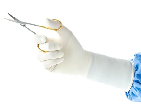 ENCORE Perry Style 42 PF Surgical Gloves Size 6.5