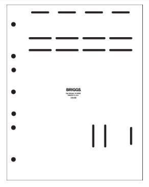 BRiGGS Healthcare Pull Flag Label
