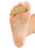 Silipos Felt Hammer Toe Crest