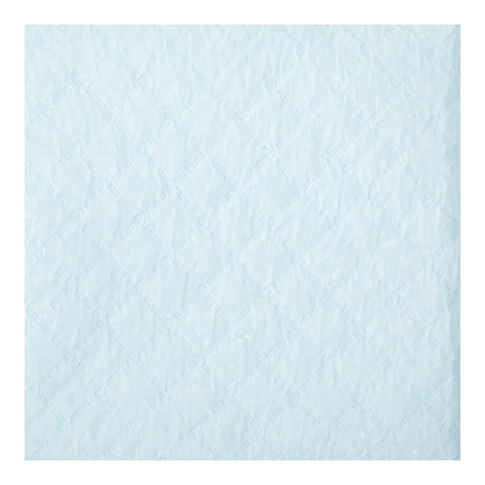 Protection Plus Disposable Underpads
