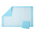 Protection Plus Disposable Underpads