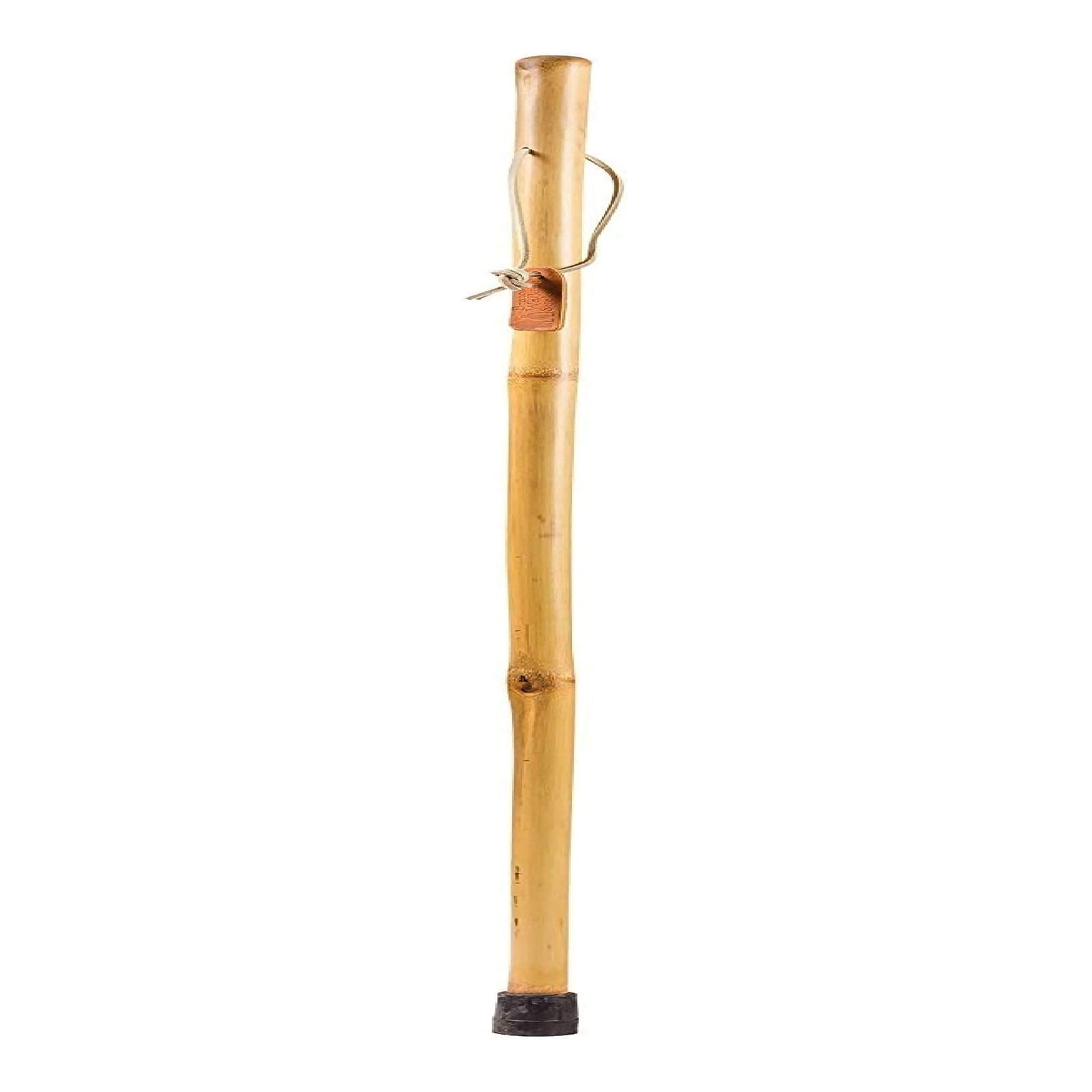 Brazos Free Form Iron Bamboo Walking Stick - 55 Inch