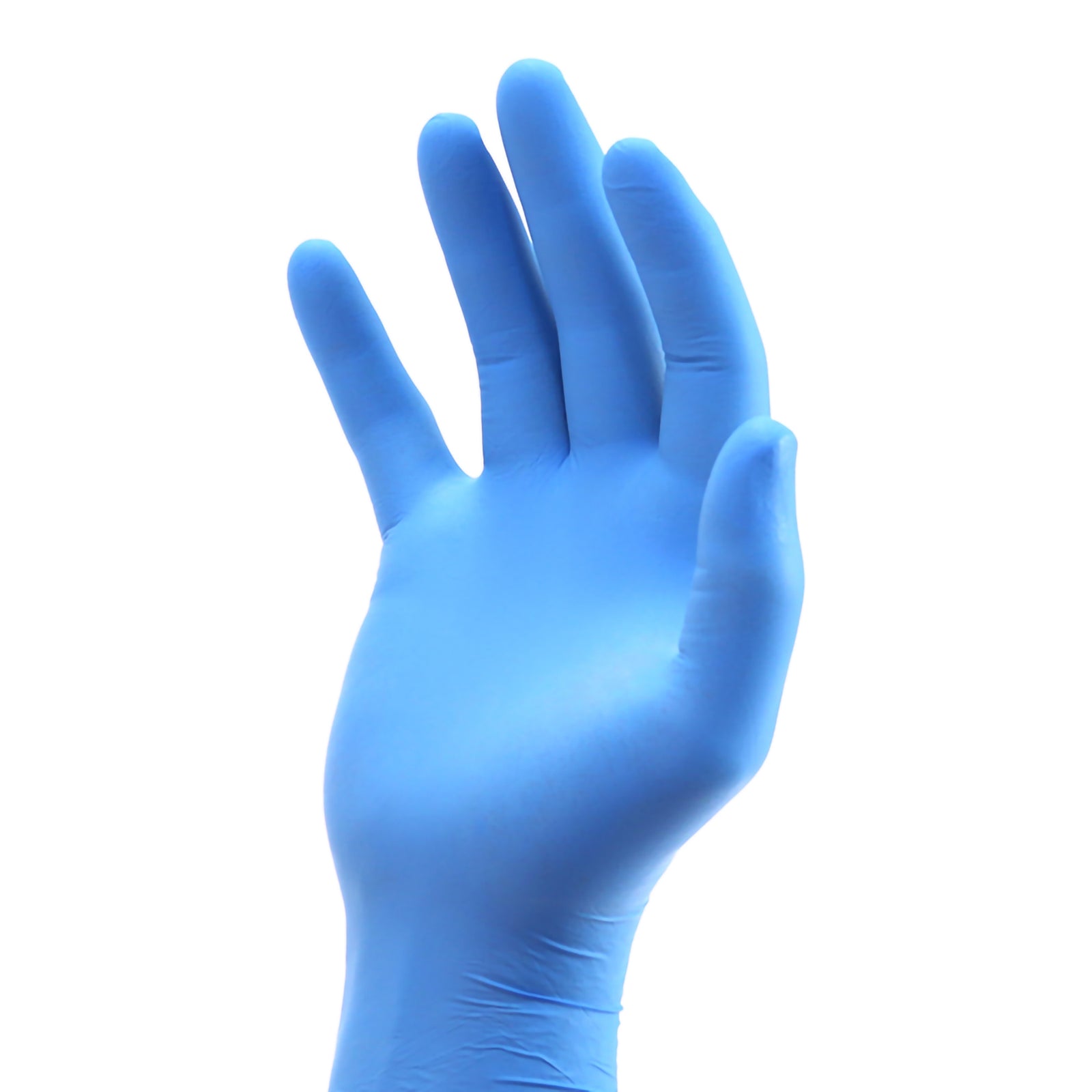AmSino International Exam Gloves