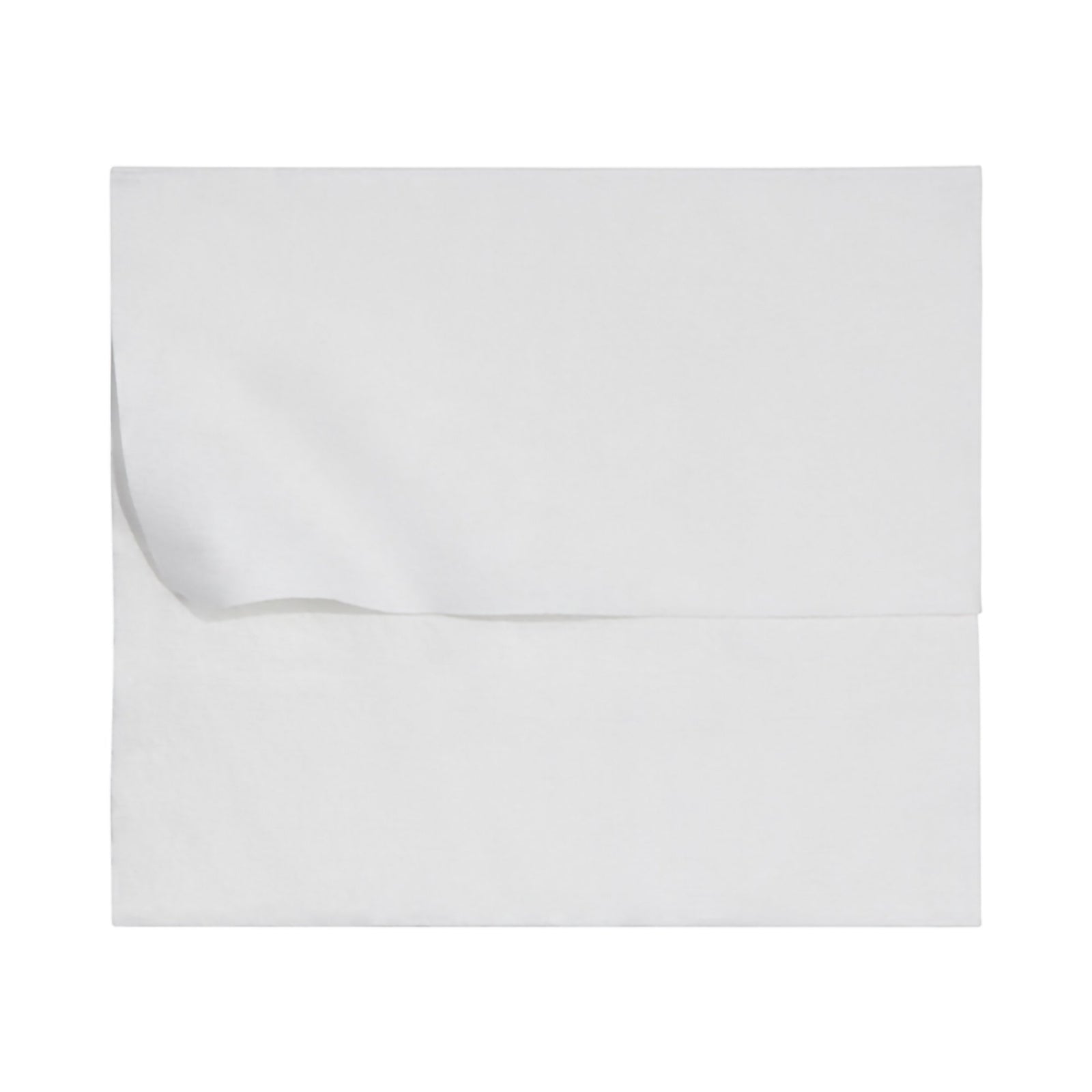 McKesson XL Flushable Personal Wipes Unscented