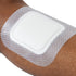 Biatain Silicone Fit Silicone Foam Dressing 7 x 7 Inch