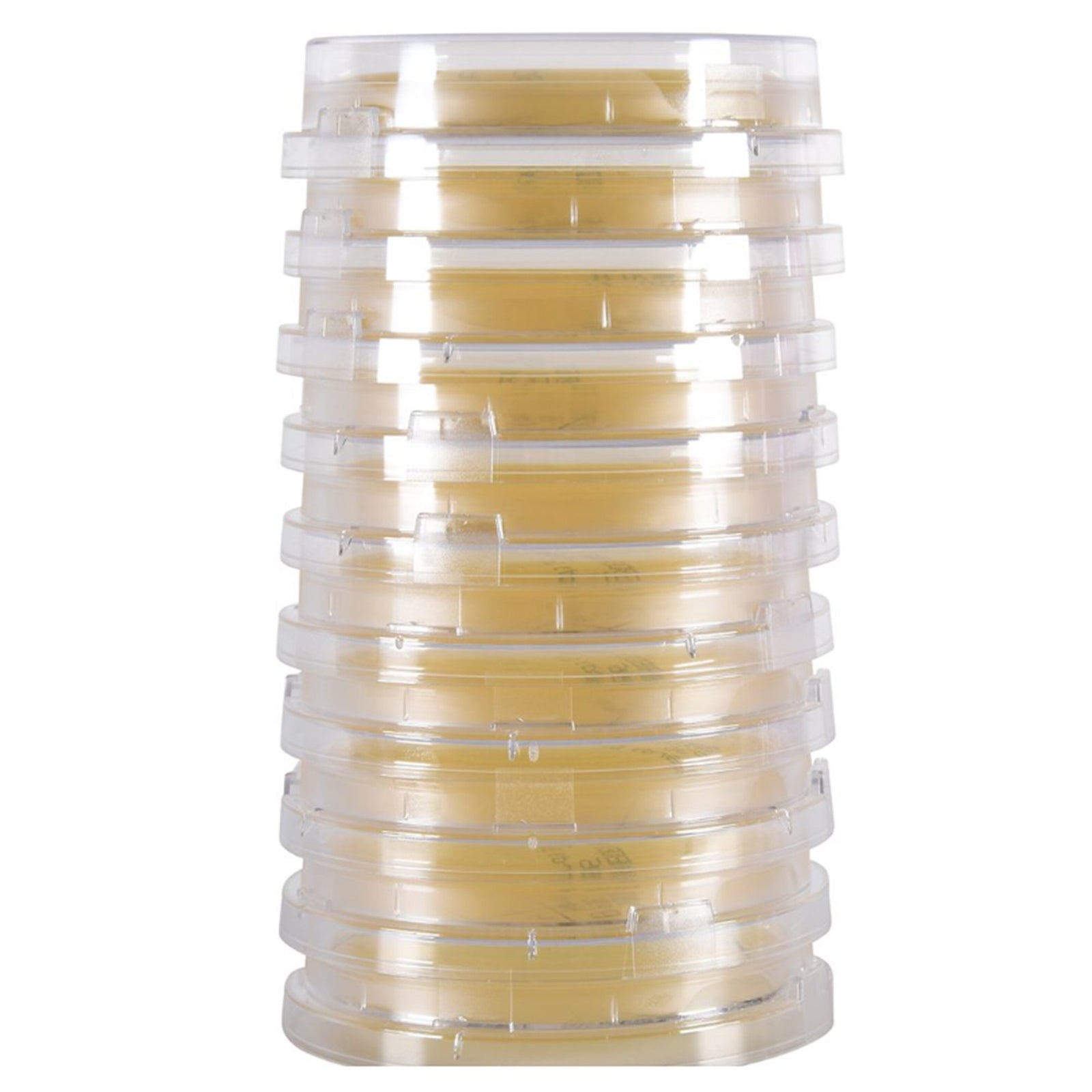 LokTight™ Tryptic Soy Agar (TSA) with Lecithin and Tween Contact Plate - Pack of 10