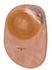 Coloplast One-Piece Convex Light Closed Ostomy Pouch