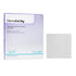 DermaRite Ag Collagen Matrix Wound Dressing with Silver — Sizes: 2 in x 2 in, 4 in x 4 in