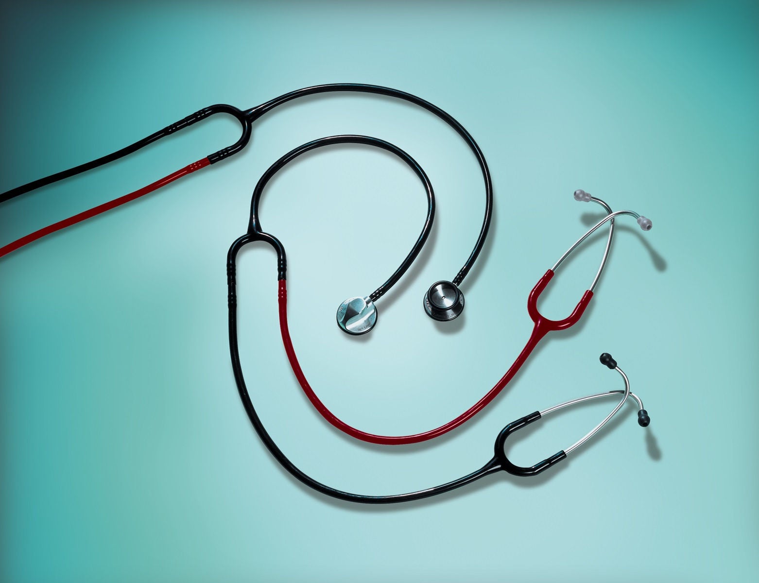 Solventum Littmann Teaching Stethoscope, Black and Burgundy, 40 Inch