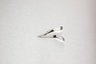 Medline Skin Staple Remover - Each