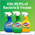 Clorox Clean-Up All Purpose Cleaner with Bleach