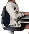 Alex Orthopedic Standard Lumbar Cushion with Navy Cover and Strap, 15" x 13.5" x 5"