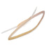 Cardinal Health Tracheostomy Tube Holder