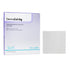 DermaRite Ag Collagen Matrix Wound Dressing with Silver — Sizes: 2 in x 2 in, 4 in x 4 in