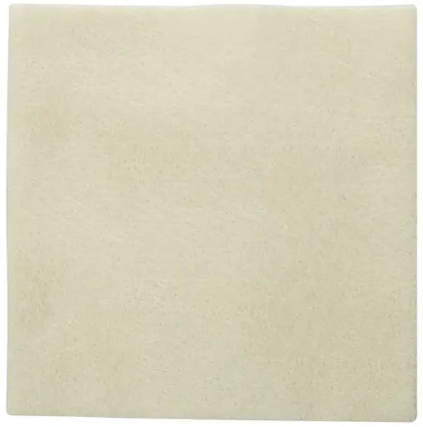 Coloplast Biatain Ag Alginate Dressing with Silver