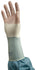 MOLNLYCKE HEALTH Surgical Glove Polyisoprene Size 8.5 Smooth, Sterile