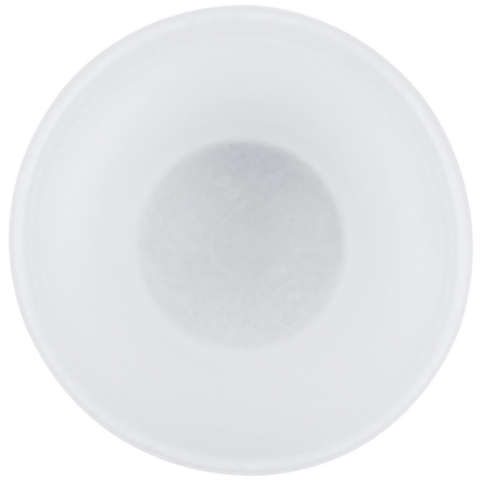 RJ Schinner White Foam Disposable Drinking Cups