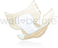 Cardinal Health WINGS Extra Adult Briefs