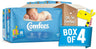 Comfees Premium Diapers
