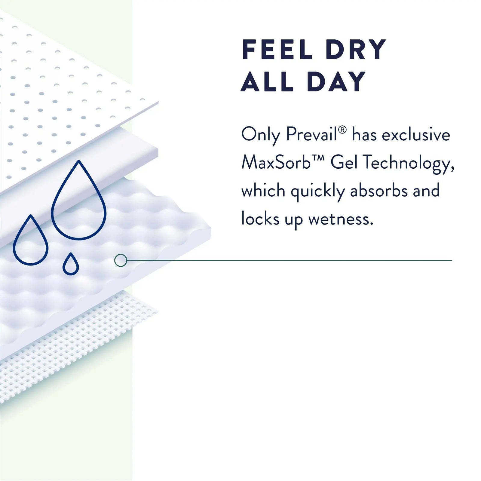 Prevail Daily Briefs