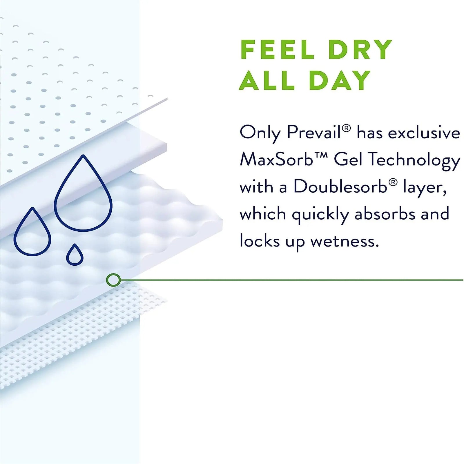 Prevail Daily Briefs