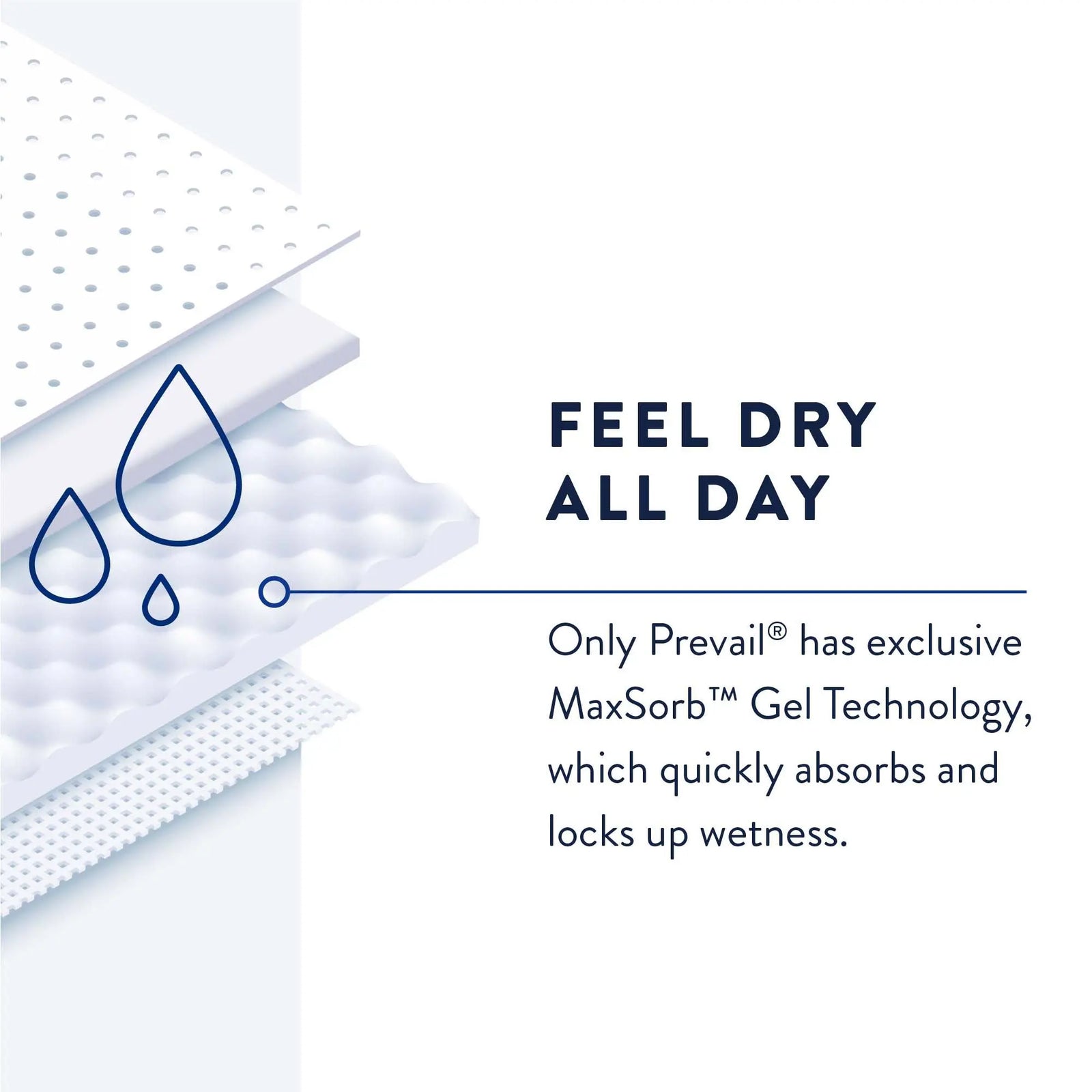 Prevail Daily Pant Liners