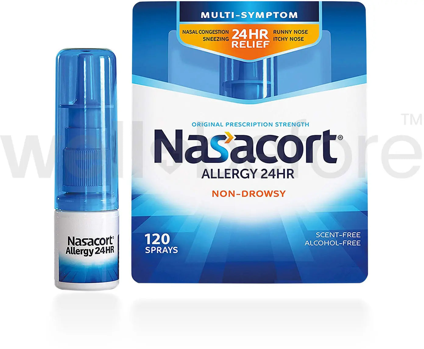 Chattem Nasacort Allergy 24HR Multi-Sympton Nasal Allergy Spray