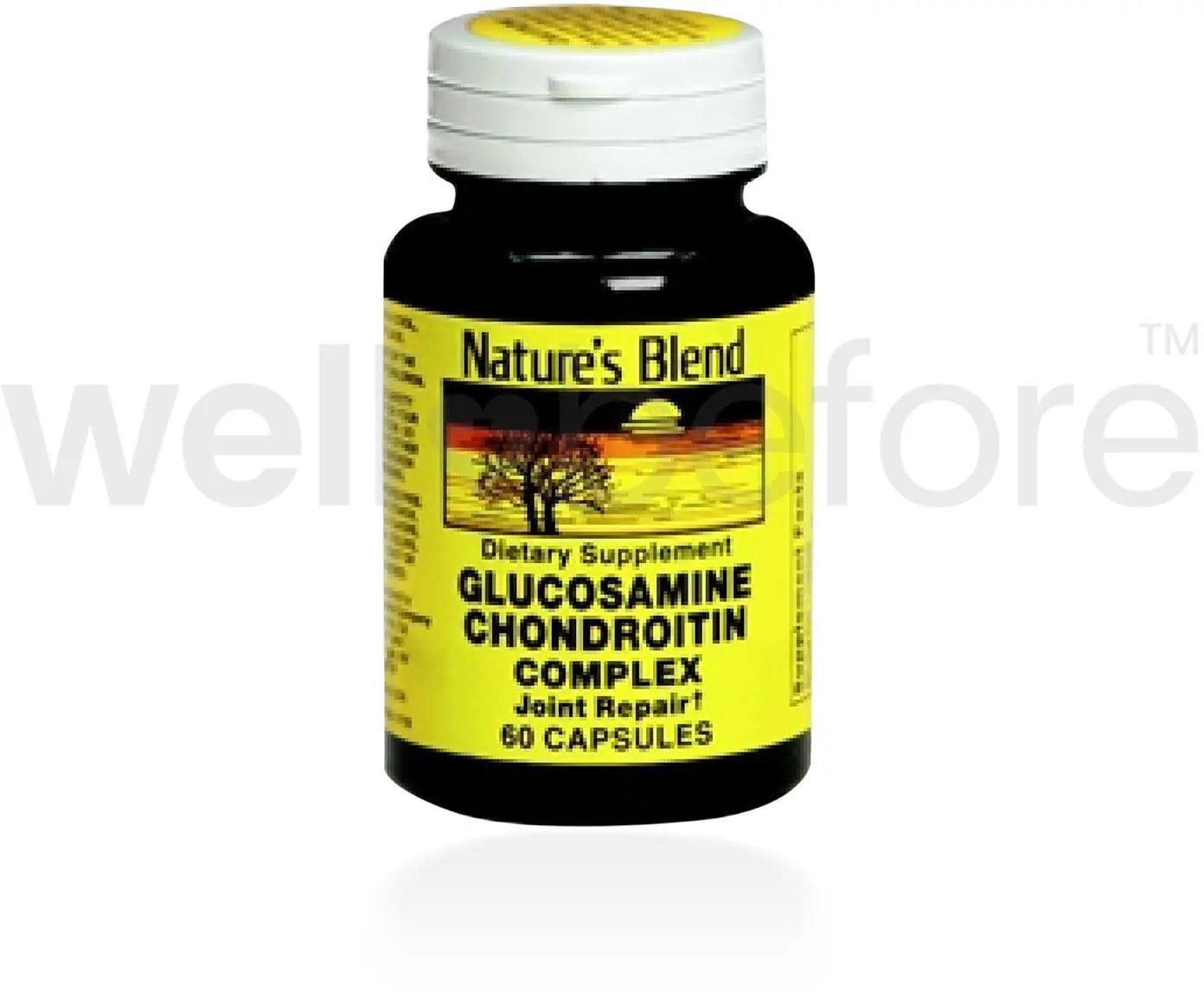 Natures Blend Glucosamine Chondroitin Complex Supplement
