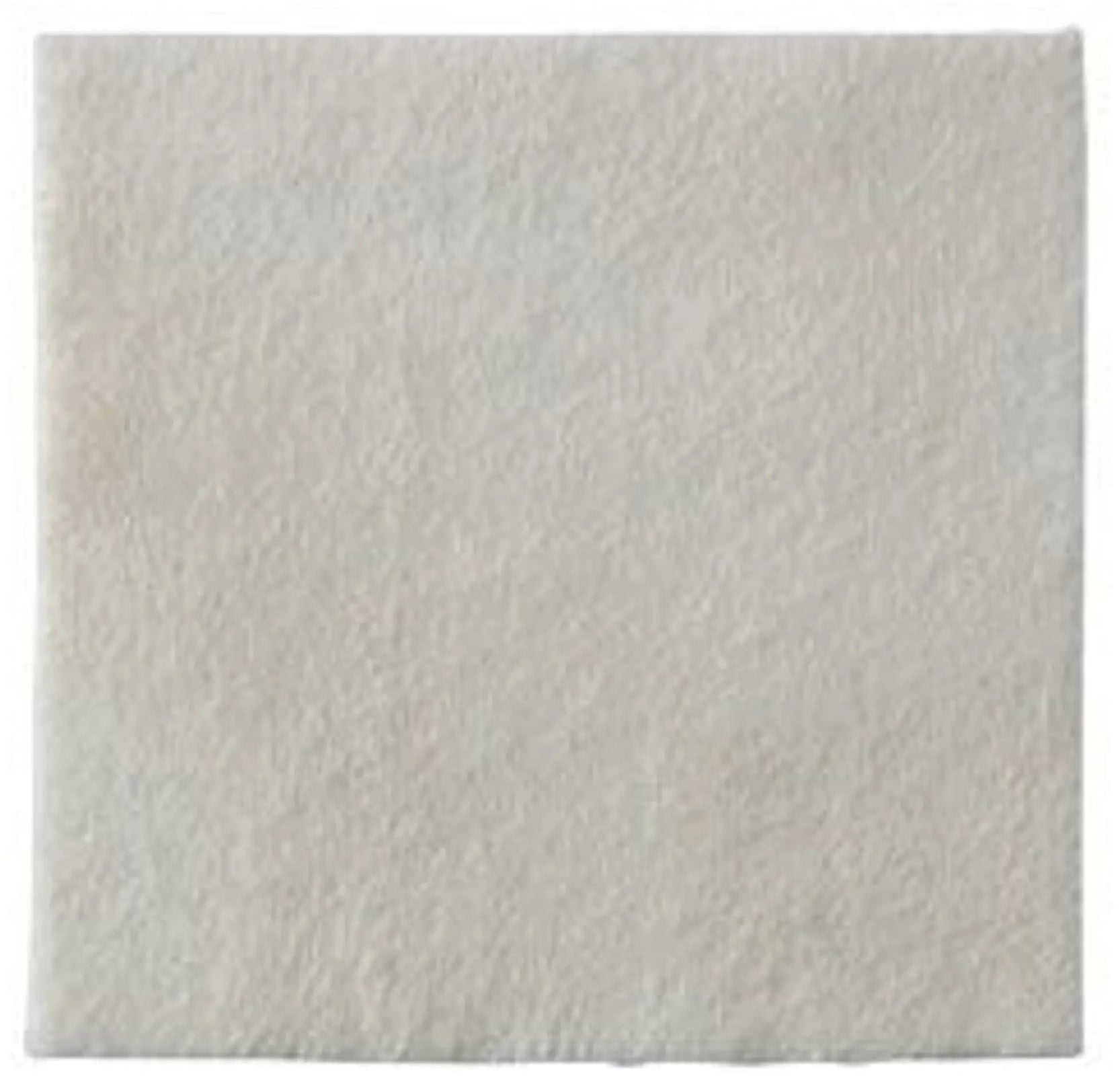 Biatain Alginate Ag Dressing