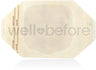 DermaRite DermView II Transparent Film Dressing
