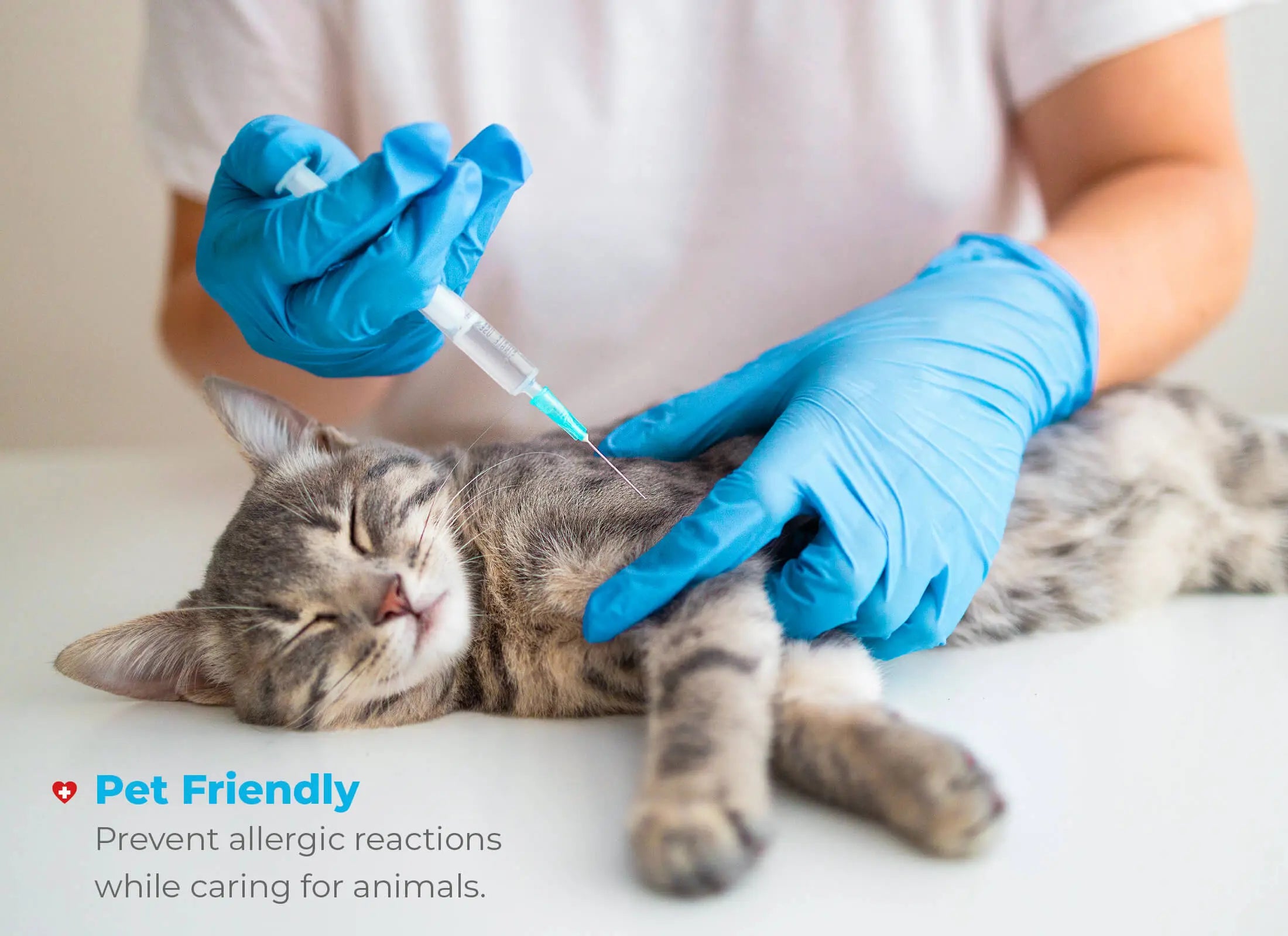 WellBefore Endeavor Nitrile Examination Gloves