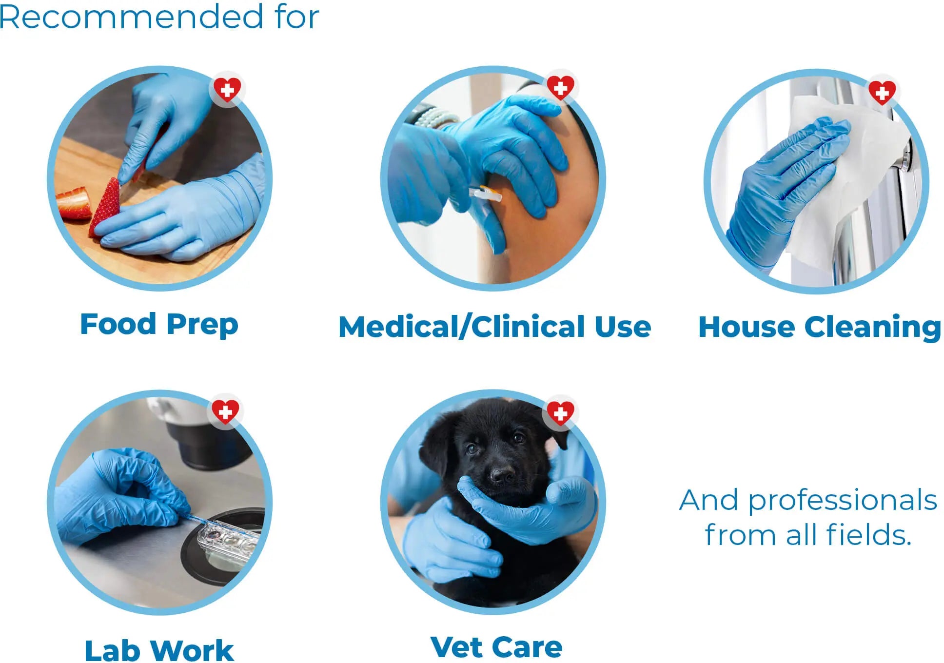 WellBefore Endeavor Nitrile Examination Gloves