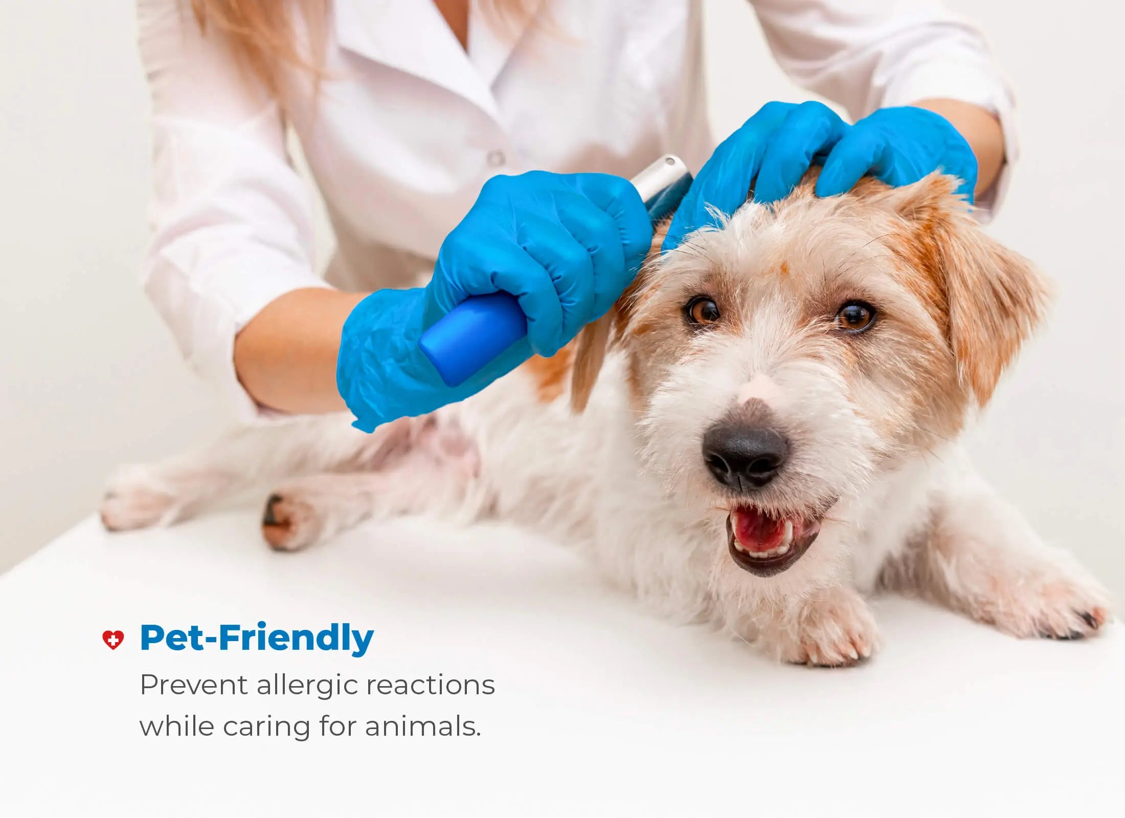 WellBefore Endeavor Nitrile Examination Gloves