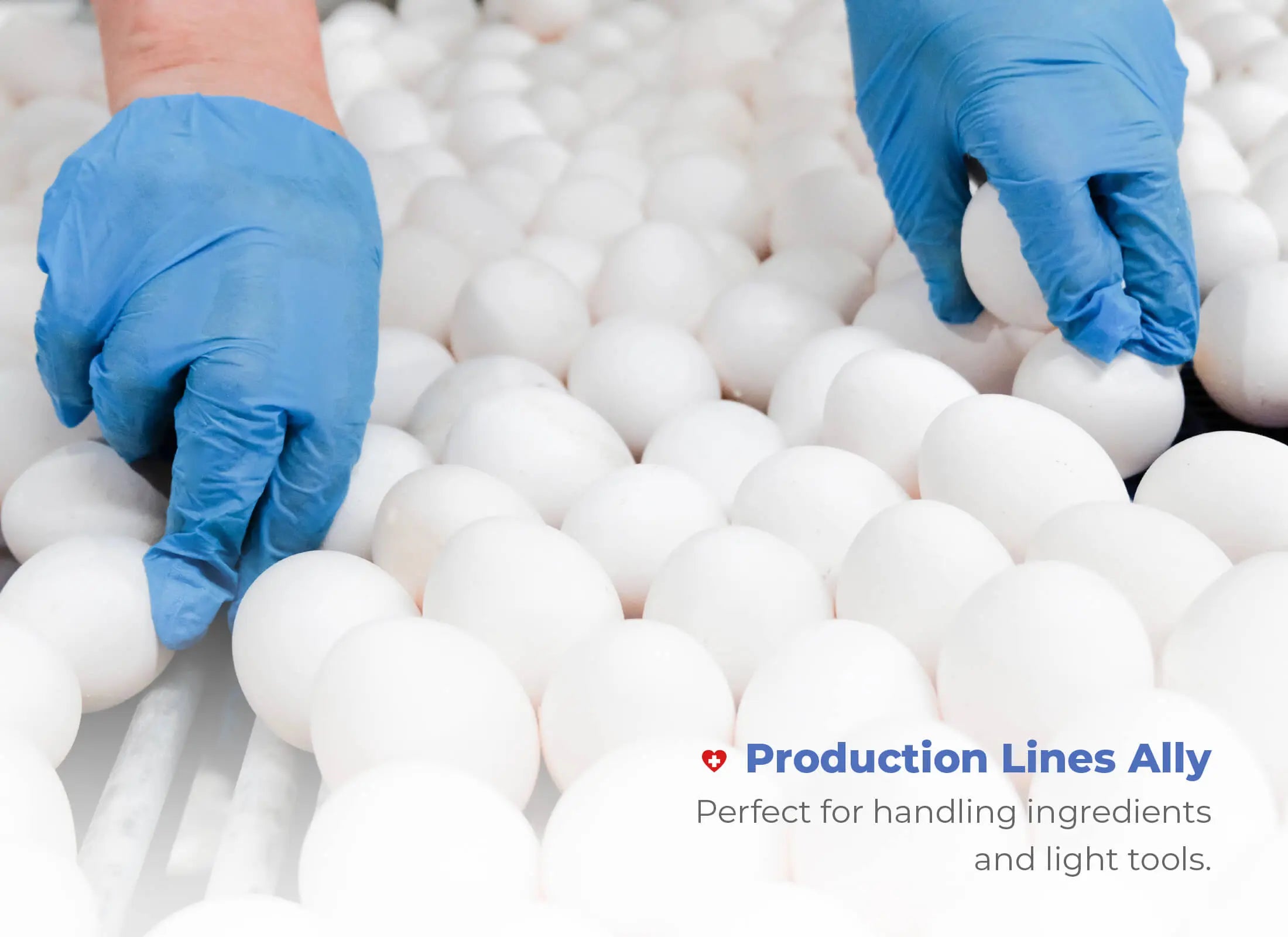 WellBefore Endeavor Vinyl Examination Gloves