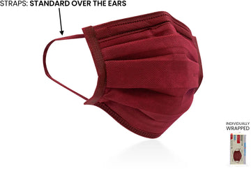 Disposable 4-Ply Mask - BAG of 10