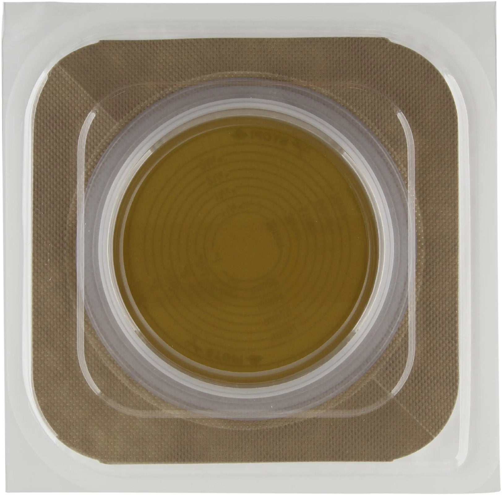 PT01