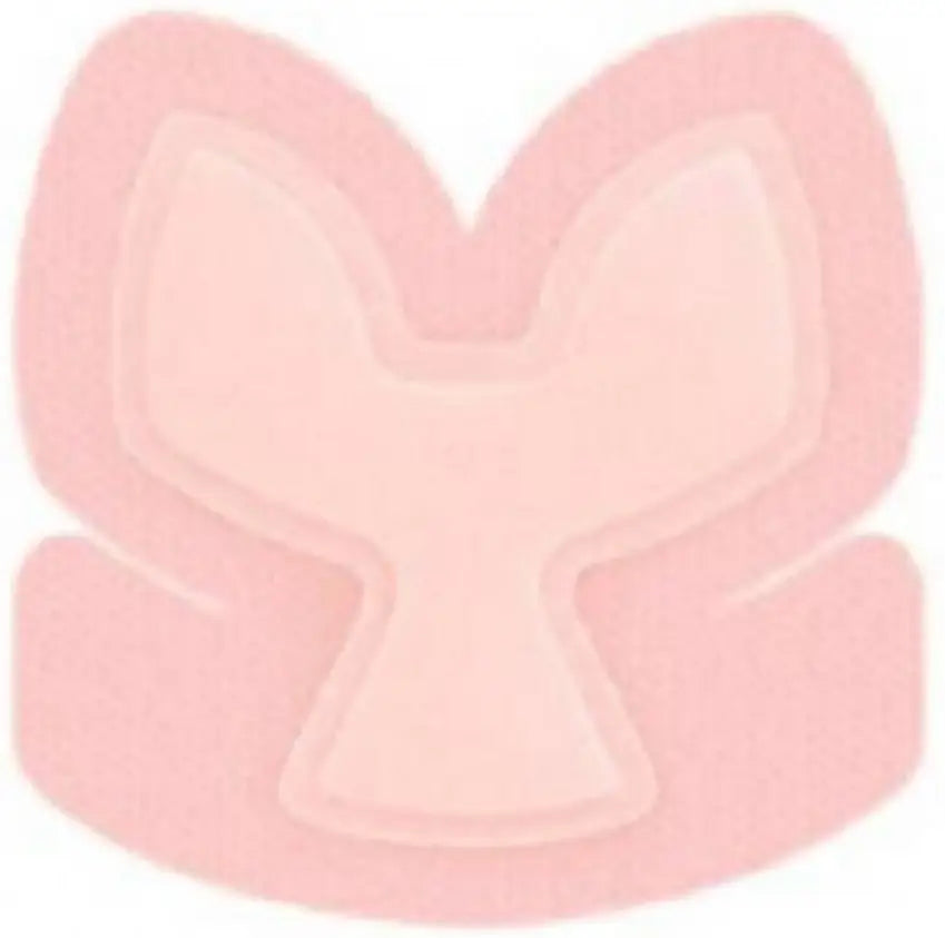 Smith and Nephew Allevyn Life Heel Dressing 9x9in