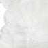 PT02