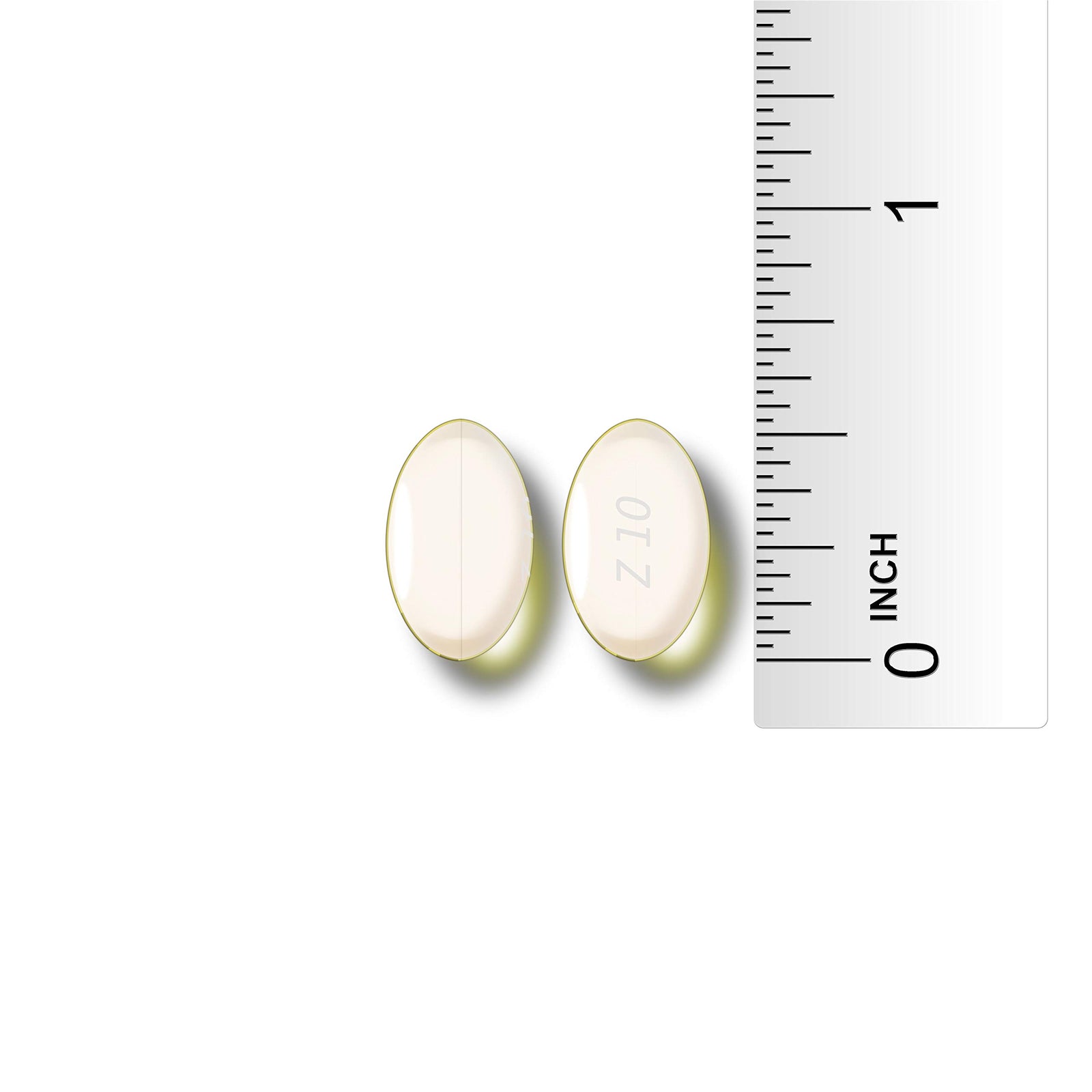 PT01